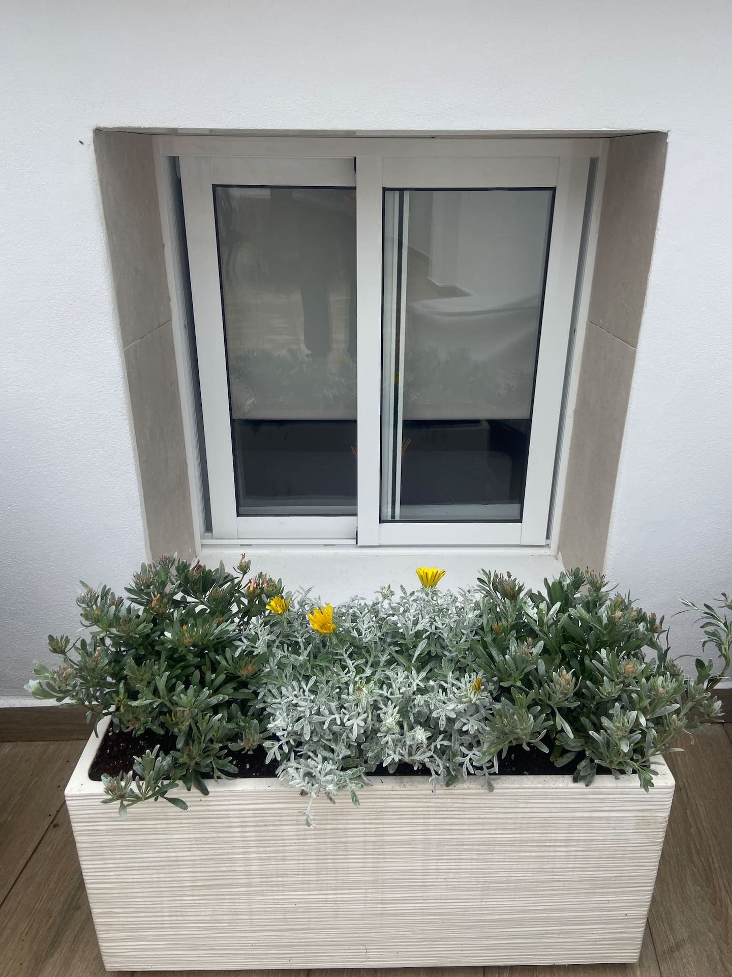 Patio: window and planter